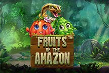 FRUIT RAINBOW